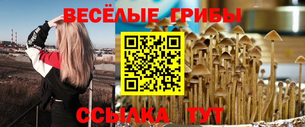Псилоцибиновые грибы Magic Shrooms  Вход с VPN  Ижевск 